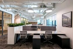 PLUS (D1), Office #560761711